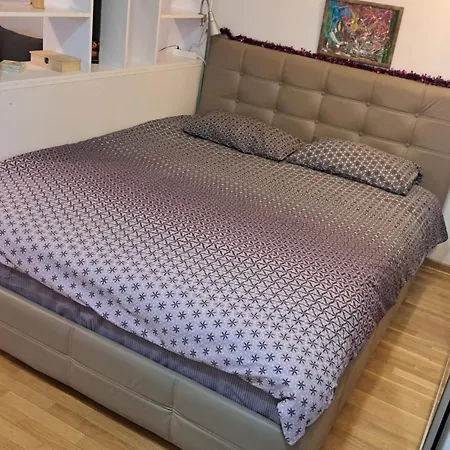 Maya 's - Vracar Appartement